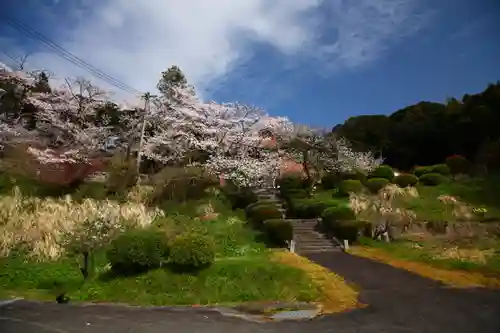 長谷寺の景色