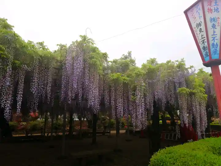 箭弓稲荷神社の{uncategorized: "未分類", other: "その他", undefined: "問題あり", building: "その他建物", grave: "お墓", sacred_gate: "鳥居", guardian: "狛犬", statue: "像", buddha: "仏像", history: "歴史", nature: "自然", garden: "庭園", animal: "動物", pagoda: "塔", temizu: "手水舎", mountain_gate: "山門・神門", sanctuary: "本殿・本堂", subordinate: "末社・摂社", art: "芸術", scenery: "景色", jizo: "地蔵", ema: "絵馬", goshuin: "御朱印", omikuji: "おみくじ", items: "授与品その他", amulet: "お守り", goshuincho: "御朱印帳", eats: "食事", festival: "お祭り", votive_dance: "神楽", shichigosan: "七五三参", wedding: "結婚式", experience: "体験その他", initially: "初詣", around: "周辺", anti_infection: "感染症対策"}