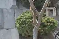 宝光寺(北海道)