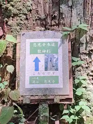 慈光寺(新潟県)