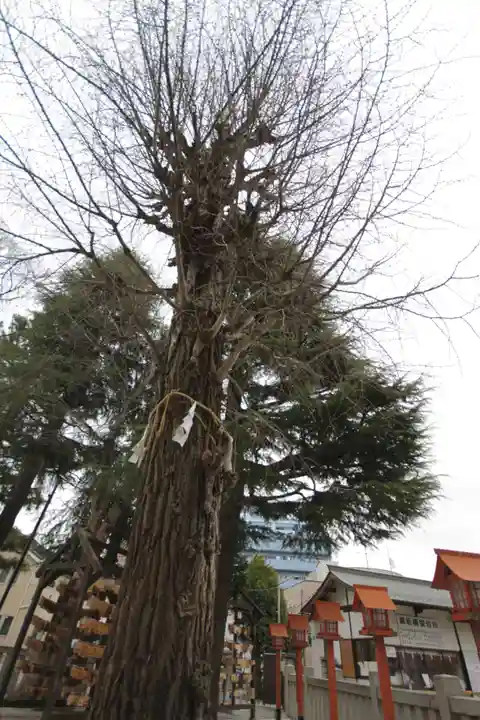 草加神社(埼玉県)