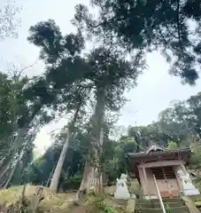 白藤神社(兵庫県)