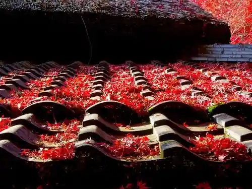 教林坊(滋賀県)