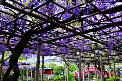亀戸天神社(東京都)