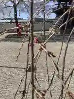 長蔵寺(岐阜県)