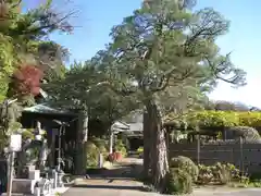 西光寺(神奈川県)