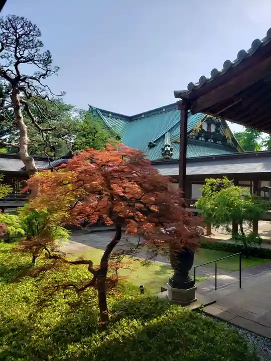 妙法寺(東京都)