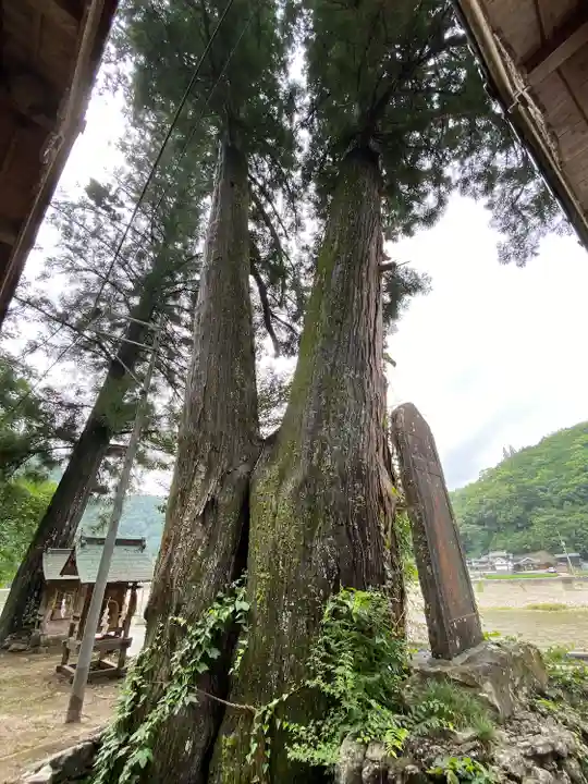 御鋒神社の自然