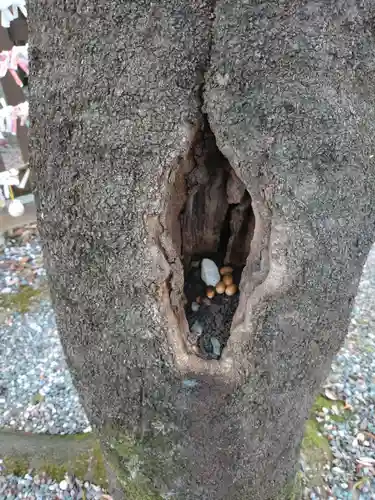 阿邪訶根神社(福島県)