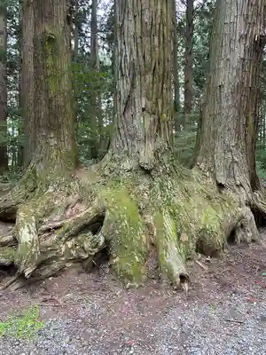 北口本宮冨士浅間神社(山梨県)