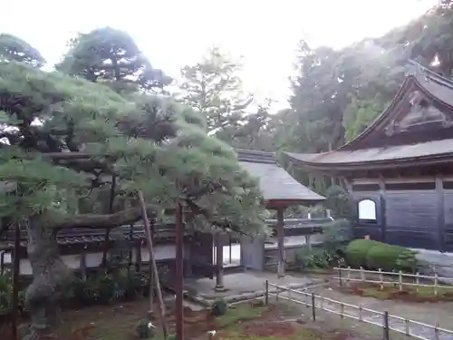 天恩寺(愛知県)