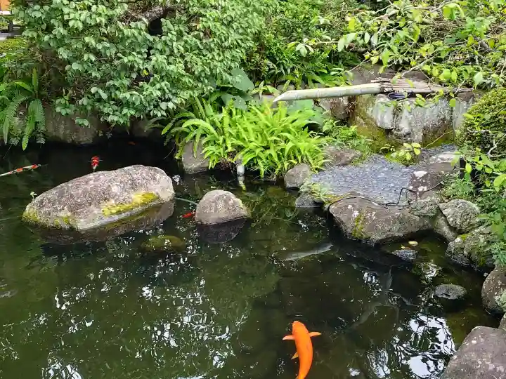 長谷寺(神奈川県)