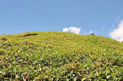 大山祇神社(高知県)