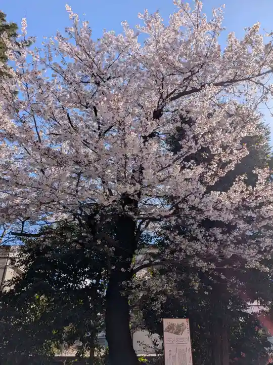 鷺宮八幡神社(東京都)