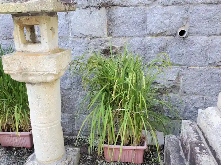 天が岡若宮神社の自然