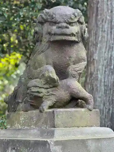 新橋浅間神社の狛犬