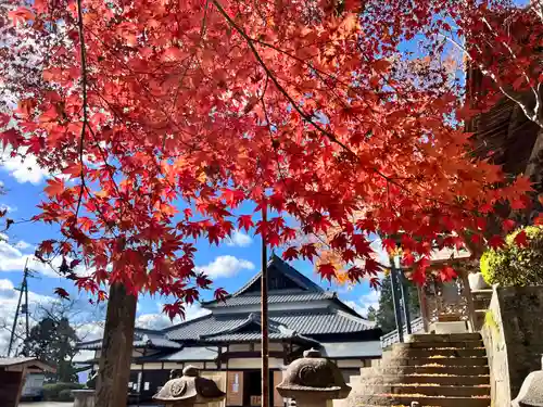 箸蔵寺(徳島県)