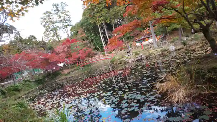 大原野神社の景色