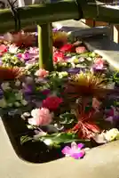 深川神明宮の手水舎