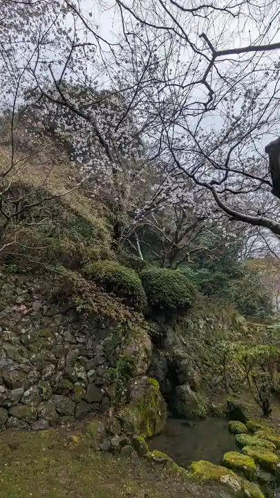 勝持寺(花の寺)(京都府)