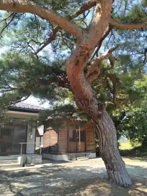 富士神社(伊達崎)(福島県)