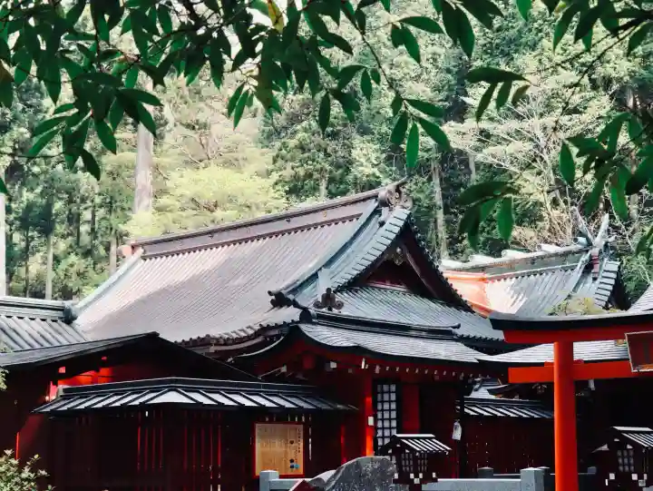 箱根神社の{uncategorized: "未分類", other: "その他", undefined: "問題あり", building: "その他建物", grave: "お墓", sacred_gate: "鳥居", guardian: "狛犬", statue: "像", buddha: "仏像", history: "歴史", nature: "自然", garden: "庭園", animal: "動物", pagoda: "塔", temizu: "手水舎", mountain_gate: "山門・神門", sanctuary: "本殿・本堂", subordinate: "末社・摂社", art: "芸術", scenery: "景色", jizo: "地蔵", ema: "絵馬", goshuin: "御朱印", omikuji: "おみくじ", items: "授与品その他", amulet: "お守り", goshuincho: "御朱印帳", eats: "食事", festival: "お祭り", votive_dance: "神楽", shichigosan: "七五三参", wedding: "結婚式", experience: "体験その他", initially: "初詣", around: "周辺", anti_infection: "感染症対策"}