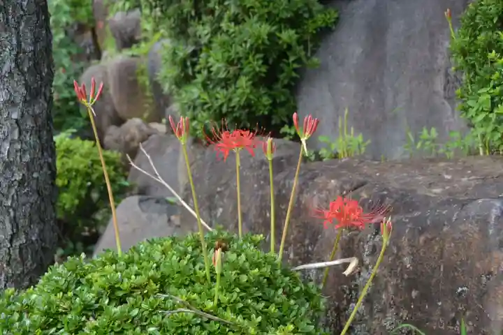 清水寺(山梨県)