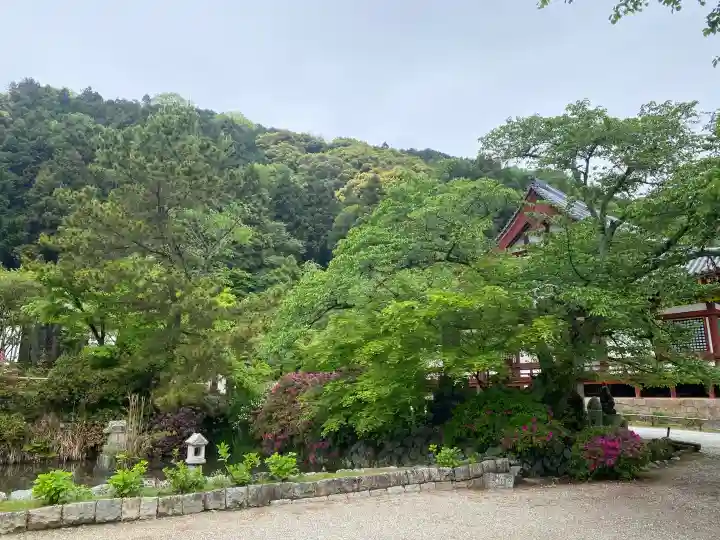 矢田寺観音堂の{uncategorized: "未分類", other: "その他", undefined: "問題あり", building: "その他建物", grave: "お墓", sacred_gate: "鳥居", guardian: "狛犬", statue: "像", buddha: "仏像", history: "歴史", nature: "自然", garden: "庭園", animal: "動物", pagoda: "塔", temizu: "手水舎", mountain_gate: "山門・神門", sanctuary: "本殿・本堂", subordinate: "末社・摂社", art: "芸術", scenery: "景色", jizo: "地蔵", ema: "絵馬", goshuin: "御朱印", omikuji: "おみくじ", items: "授与品その他", amulet: "お守り", goshuincho: "御朱印帳", eats: "食事", festival: "お祭り", votive_dance: "神楽", shichigosan: "七五三参", wedding: "結婚式", experience: "体験その他", initially: "初詣", around: "周辺", anti_infection: "感染症対策"}