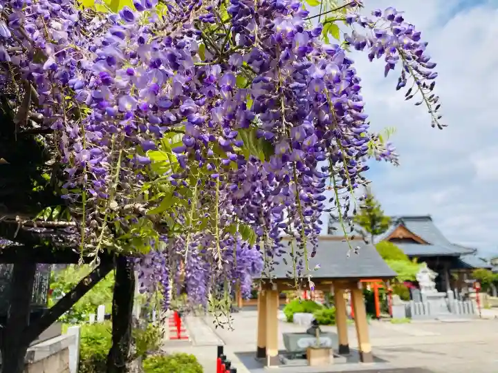 總社 和田八幡宮(福井県)