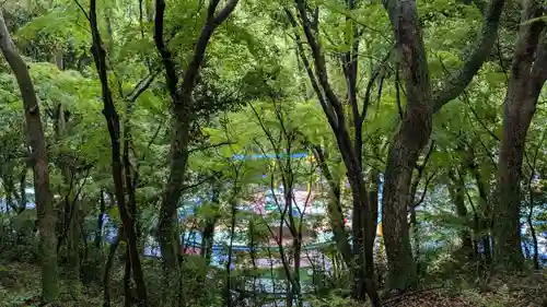 天開稲荷社の景色