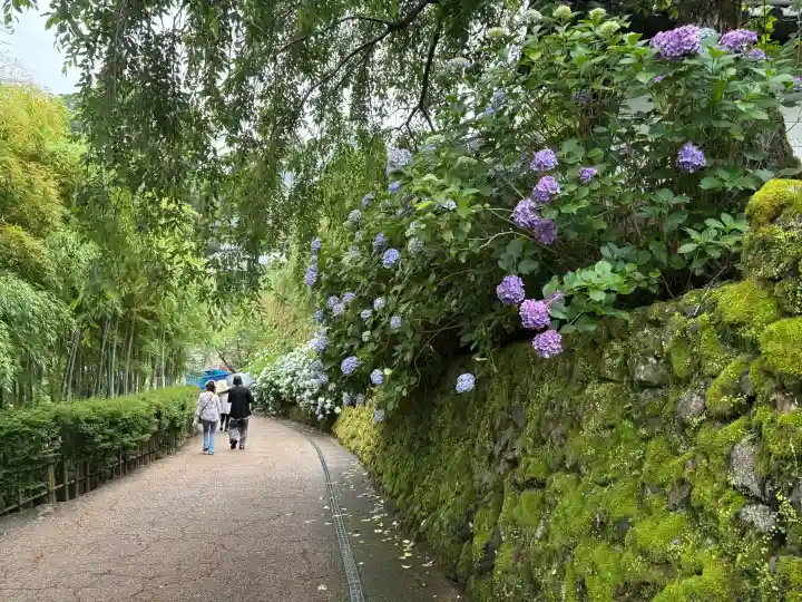 長谷寺(奈良県)