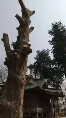 貴布禰神社(茨城県)