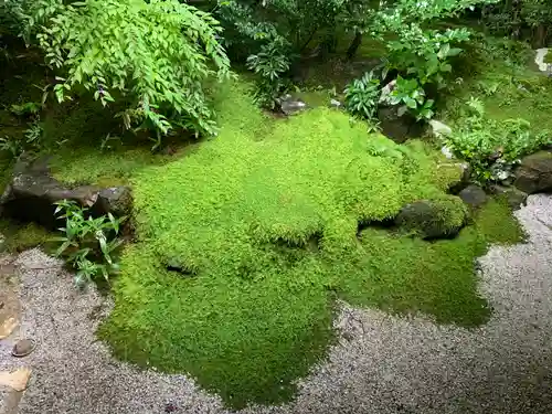 光明寺瑠璃光院の庭園