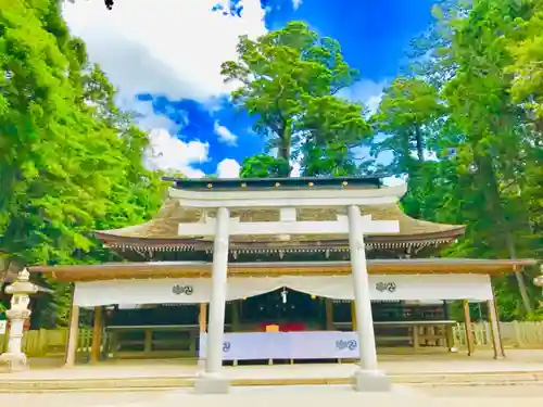 鹿島神宮の鳥居