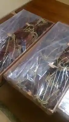 海士潜女神社(三重県)