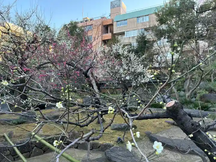 湯島天満宮の自然