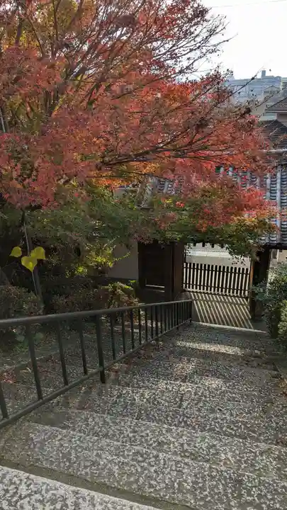 橋寺 放生院(京都府)