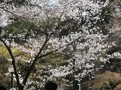 真正極楽寺(真如堂)(京都府)