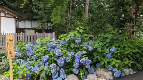 旭川神社の庭園