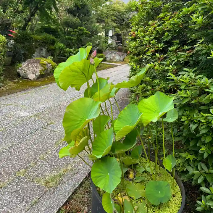 伊勢の国 四天王寺(三重県)