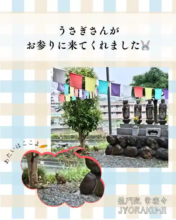 【公式】龍門院常楽寺(秩父札所十一番)(埼玉県)