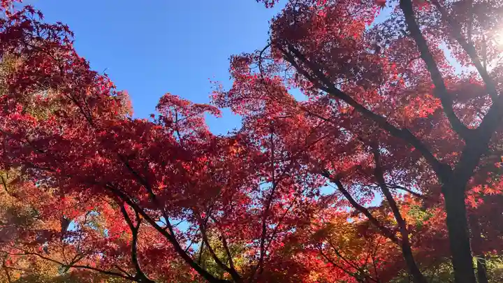 東福禅寺(東福寺)(京都府)