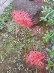 龍光寺(東京都)