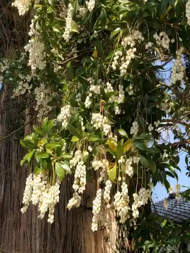 菅原神社(鹿児島県)