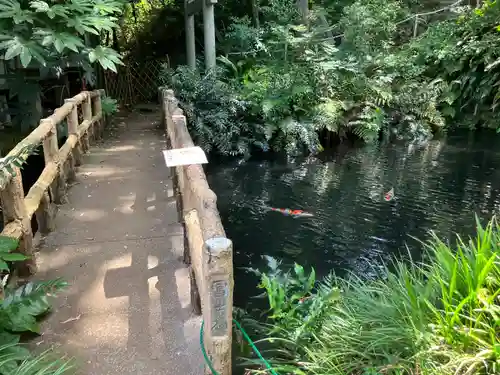 杵築大社(東京都)