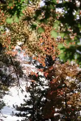 鼻顔稲荷神社(長野県)