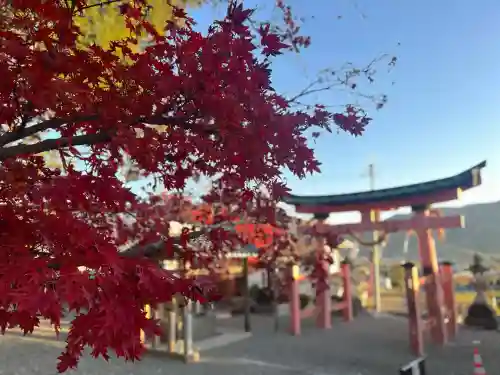 宝来山神社(和歌山県)