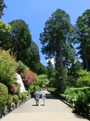 三室戸寺のその他建物