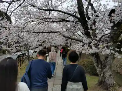 慈照寺（慈照禅寺・銀閣寺）の{uncategorized: "未分類", other: "その他", undefined: "問題あり", building: "その他建物", grave: "お墓", sacred_gate: "鳥居", guardian: "狛犬", statue: "像", buddha: "仏像", history: "歴史", nature: "自然", garden: "庭園", animal: "動物", pagoda: "塔", temizu: "手水舎", mountain_gate: "山門・神門", sanctuary: "本殿・本堂", subordinate: "末社・摂社", art: "芸術", scenery: "景色", jizo: "地蔵", ema: "絵馬", goshuin: "御朱印", omikuji: "おみくじ", items: "授与品その他", amulet: "お守り", goshuincho: "御朱印帳", eats: "食事", festival: "お祭り", votive_dance: "神楽", shichigosan: "七五三参", wedding: "結婚式", experience: "体験その他", initially: "初詣", around: "周辺", anti_infection: "感染症対策"}