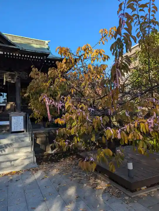 桜神宮(東京都)